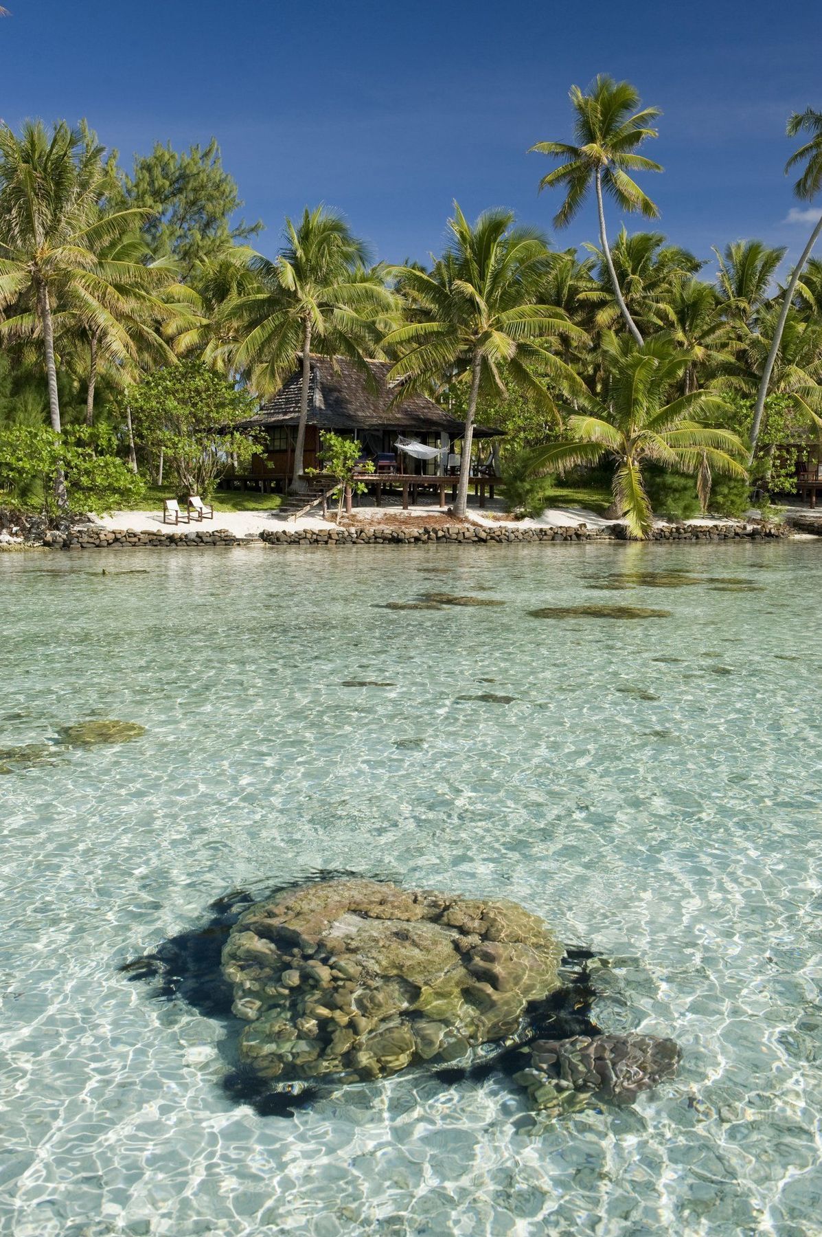 Vahiné Island  51 jours autour du monde